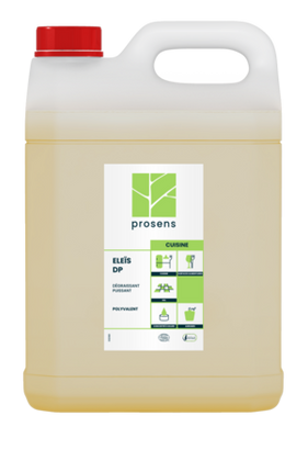 DEGRAISSANT PUISSANT MULTI SURFACES ELEIS DP ECOCERT 5L