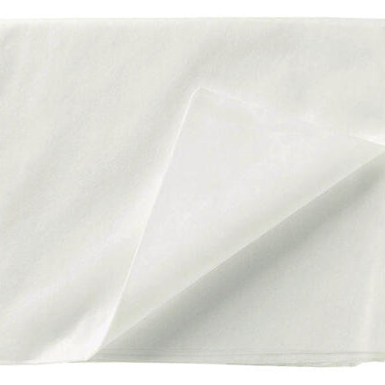 DRAP POLYPROPYLÈNE 18G 240X140CM BLANC X100