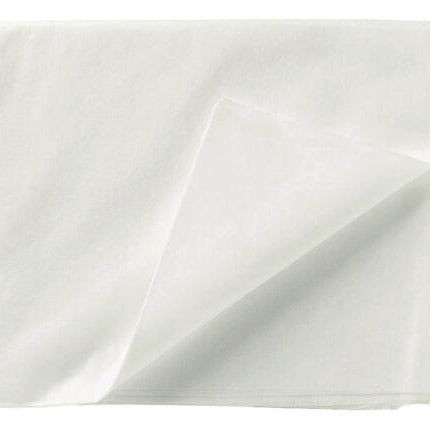 DRAP RENFORCÉ POLYPROPYLÈNE 210X150CM 60G BLANC X50