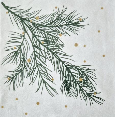 SERVIETTE 40X40CM NON TISSÉ CELYTISS EPICEA X40