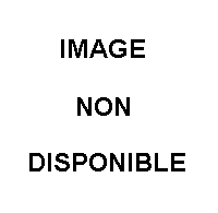 BATTERIE LITHIUM 18V 8AH