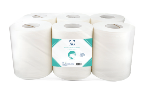 BOBINE DEVIDAGE CENTRAL TECHLINE BLANC 450 FORMATS 2 PLIS 20X25CM ECOLABEL X6