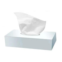 MOUCHOIR BOÎTE RECTANGLE TECHLINE BLANC 100 FORMATS 2 PLIS ECOLABEL BLANC X40