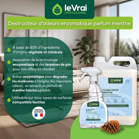 NETTOYANT DESTRUCTEUR D'ODEUR CLEAN ODOR MENTHE LE VRAI PROFESSIONNEL 750ML