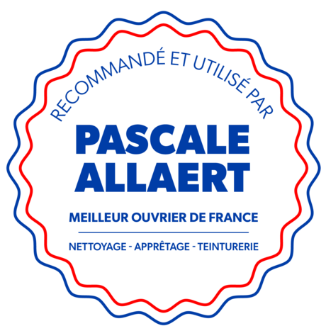 DETACHANT DESINFECTANT CONCENTRE PROTECTEUR DE COULEURS ARIEL S3 10L