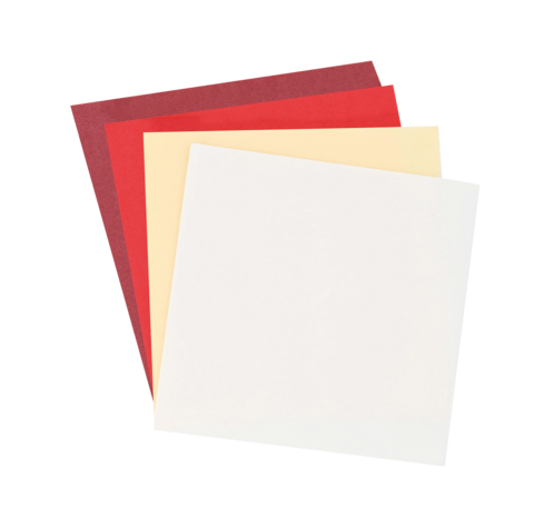 SERVIETTE 30X39CM OUATE TECHLINE 2 PLIS BLANC X2400