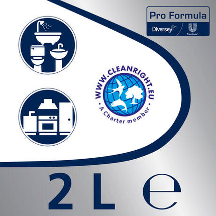 CREME A RECURER CIF PROFESSIONEL CREME 2L